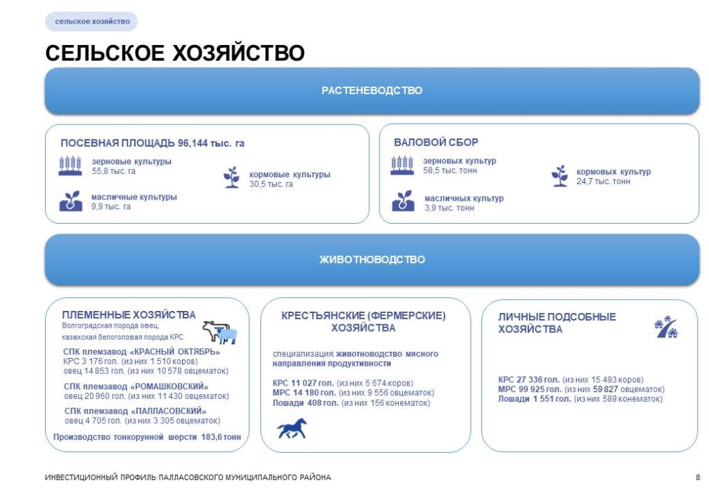 Слайд8